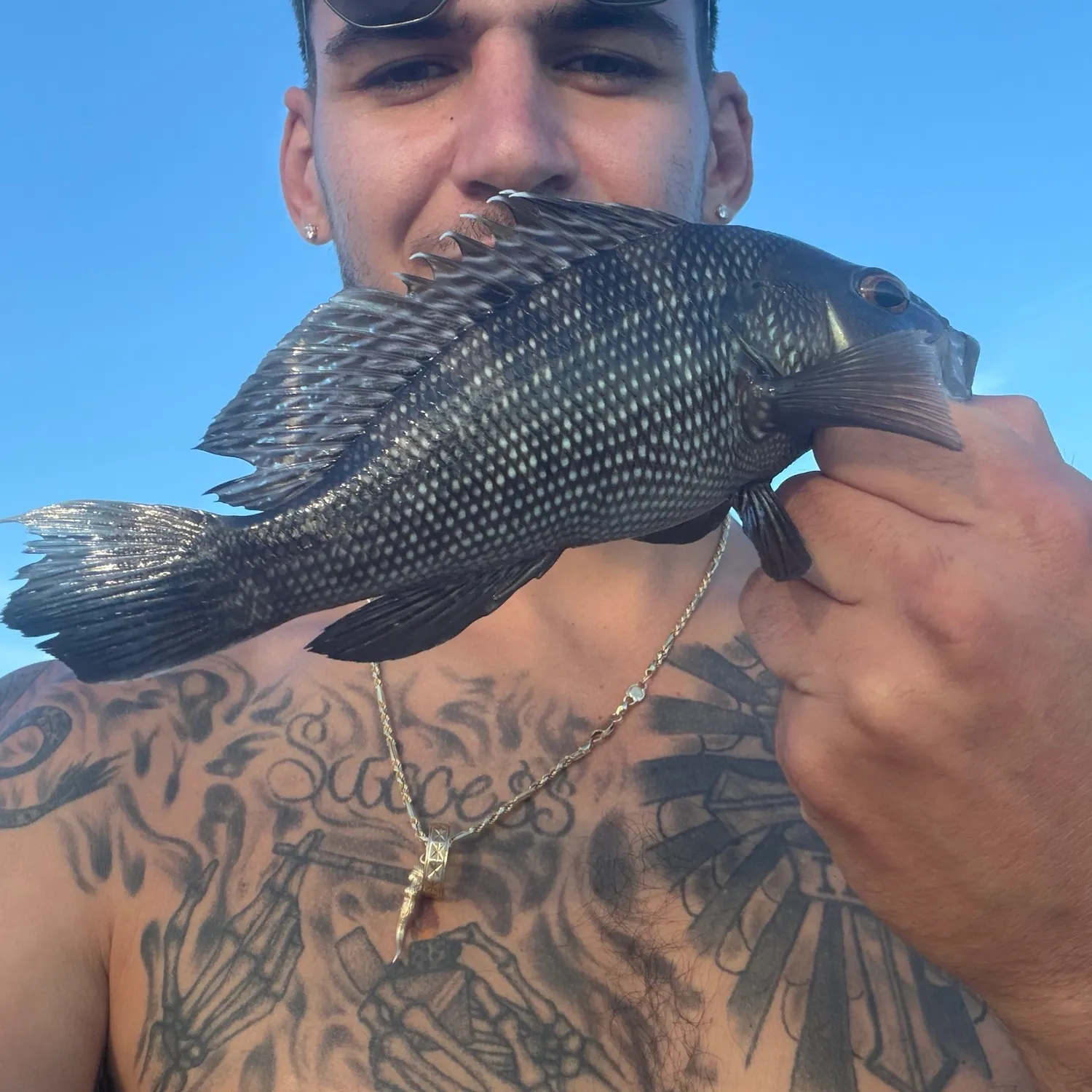 Black sea bass caught on Fishbrain