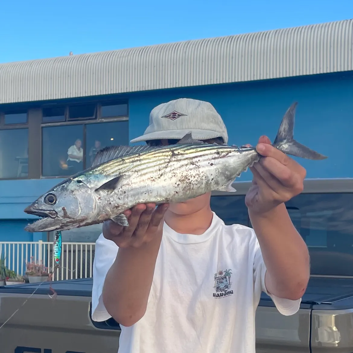 The most recent Australian bonito catches on Fishbrain