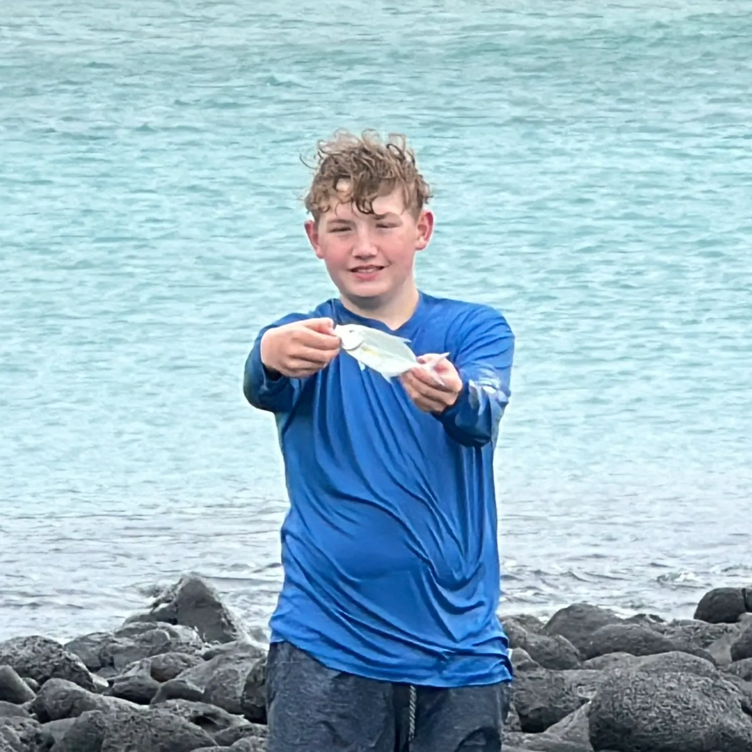 The most recent Bluefin trevally catches on Fishbrain