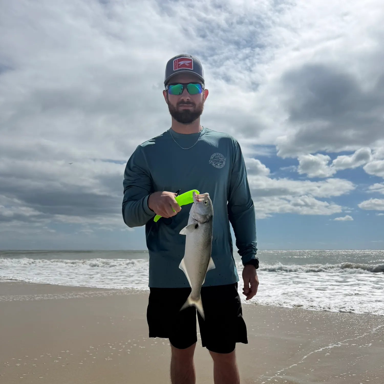 The most recent Bluefish catches on Fishbrain