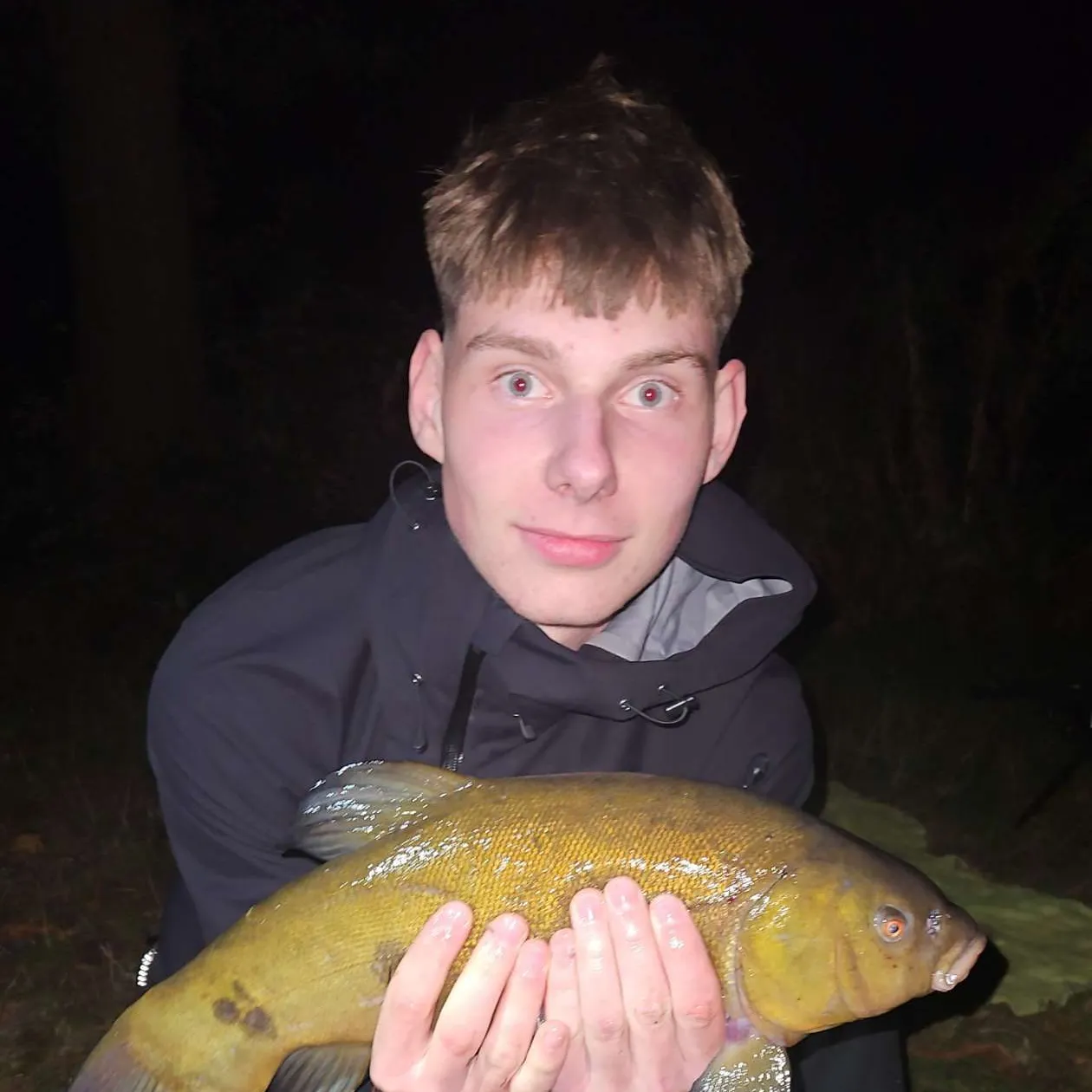 The most recent Tench catches on Fishbrain