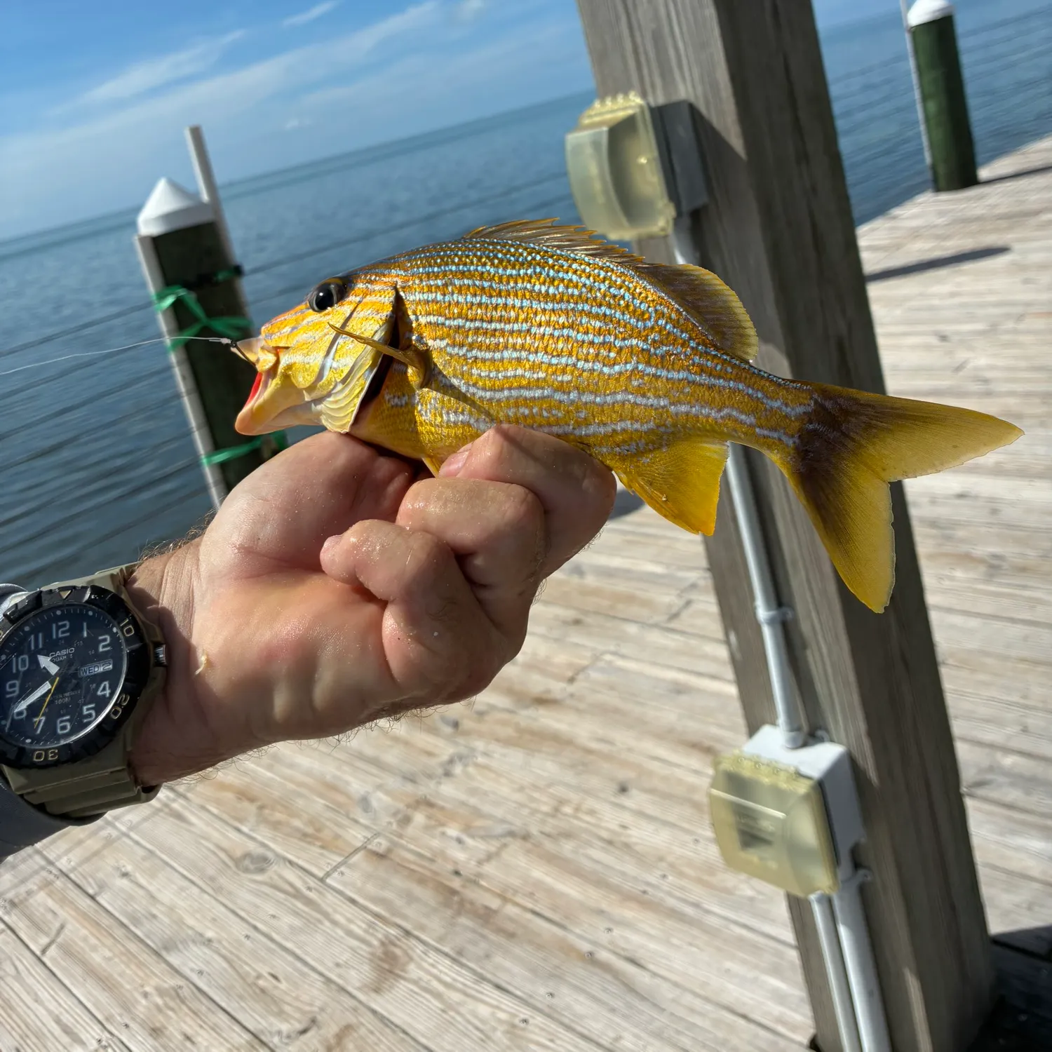 catch