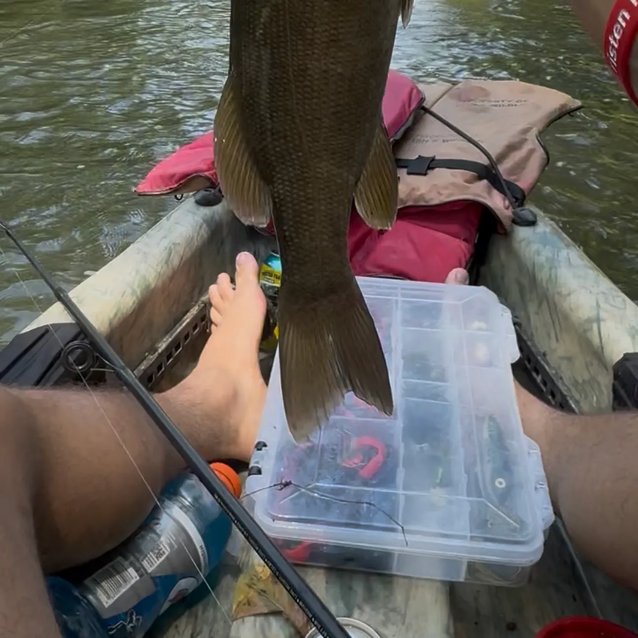 Smallmouth bass caught on Fishbrain