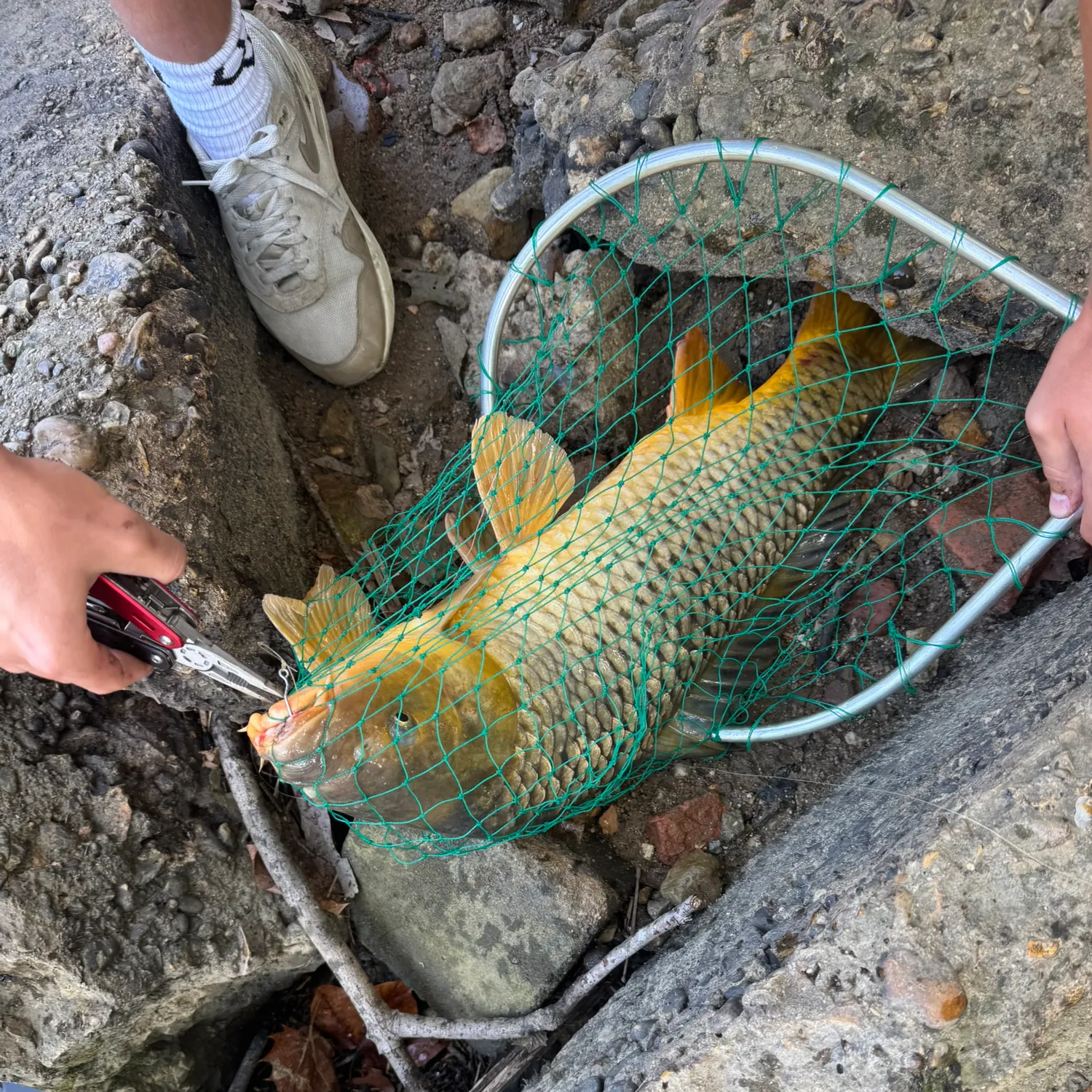catch