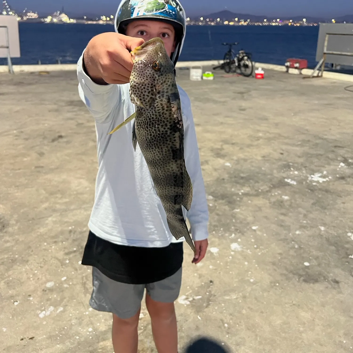 The most recent Spotted sand bass catches on Fishbrain