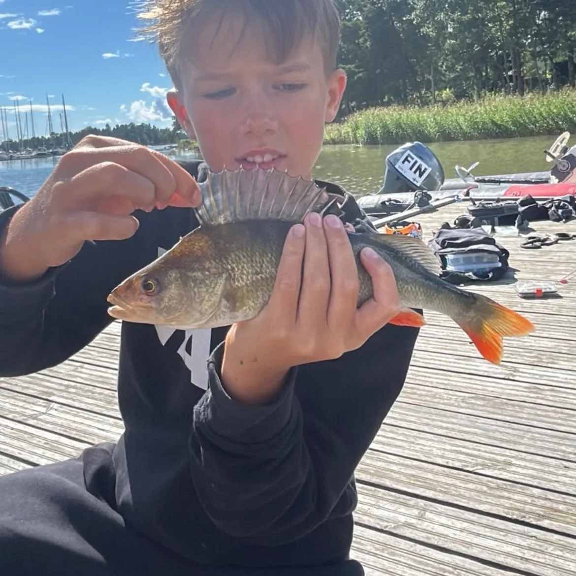 European perch caught on Fishbrain