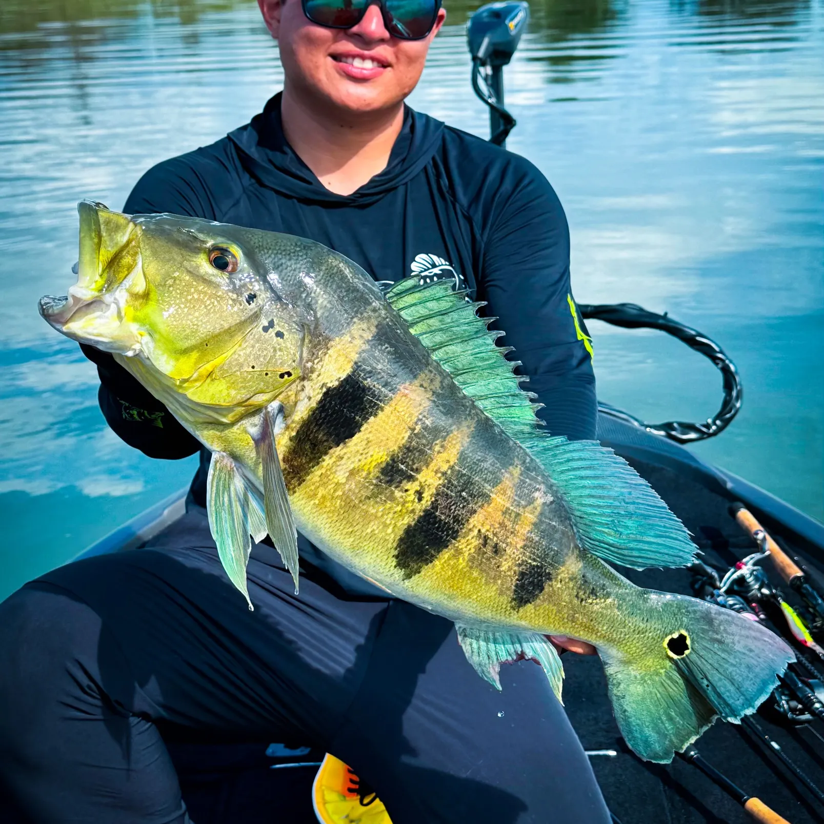 The most recent Blue peacock bass catches on Fishbrain