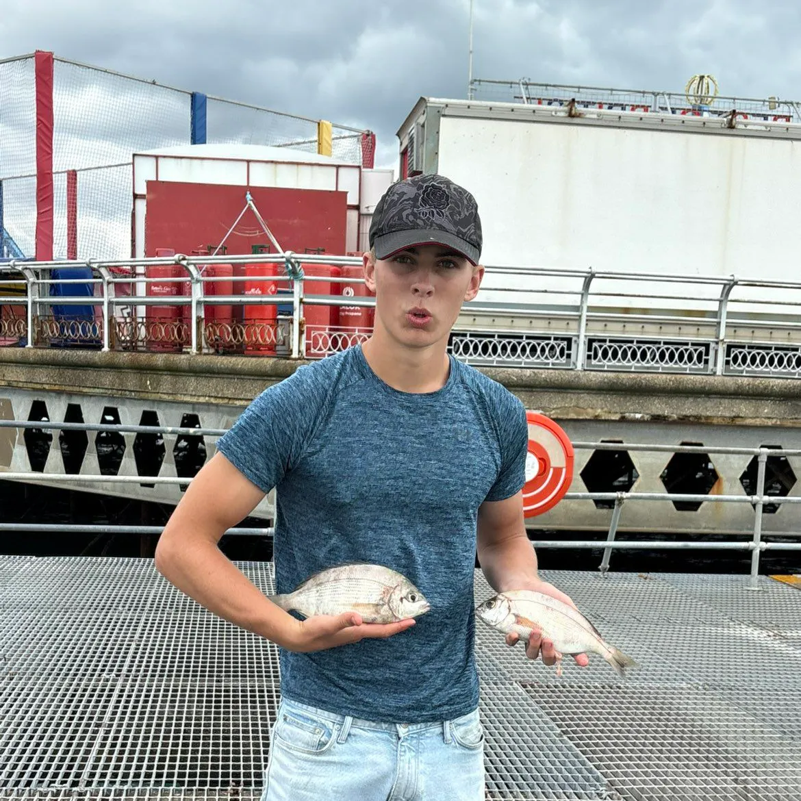 White seabream caught on Fishbrain