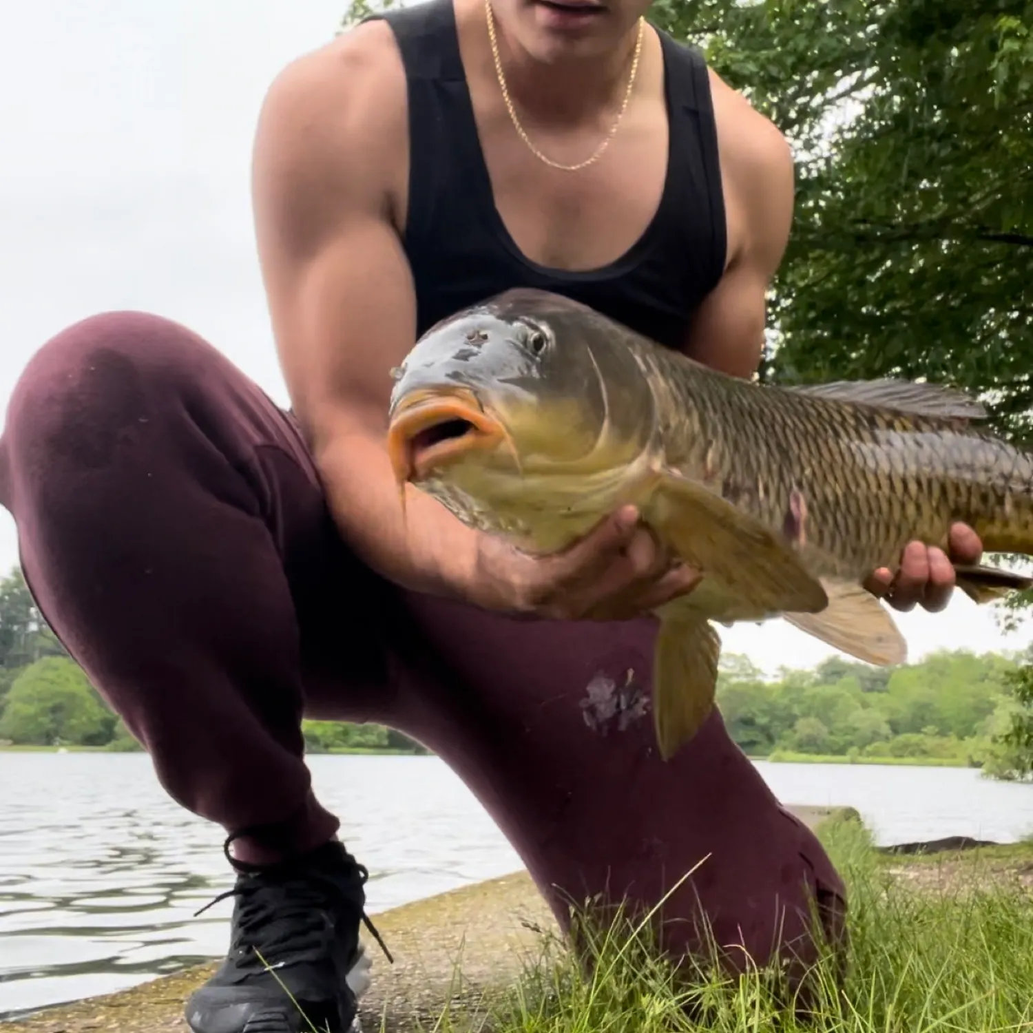most liked catch image