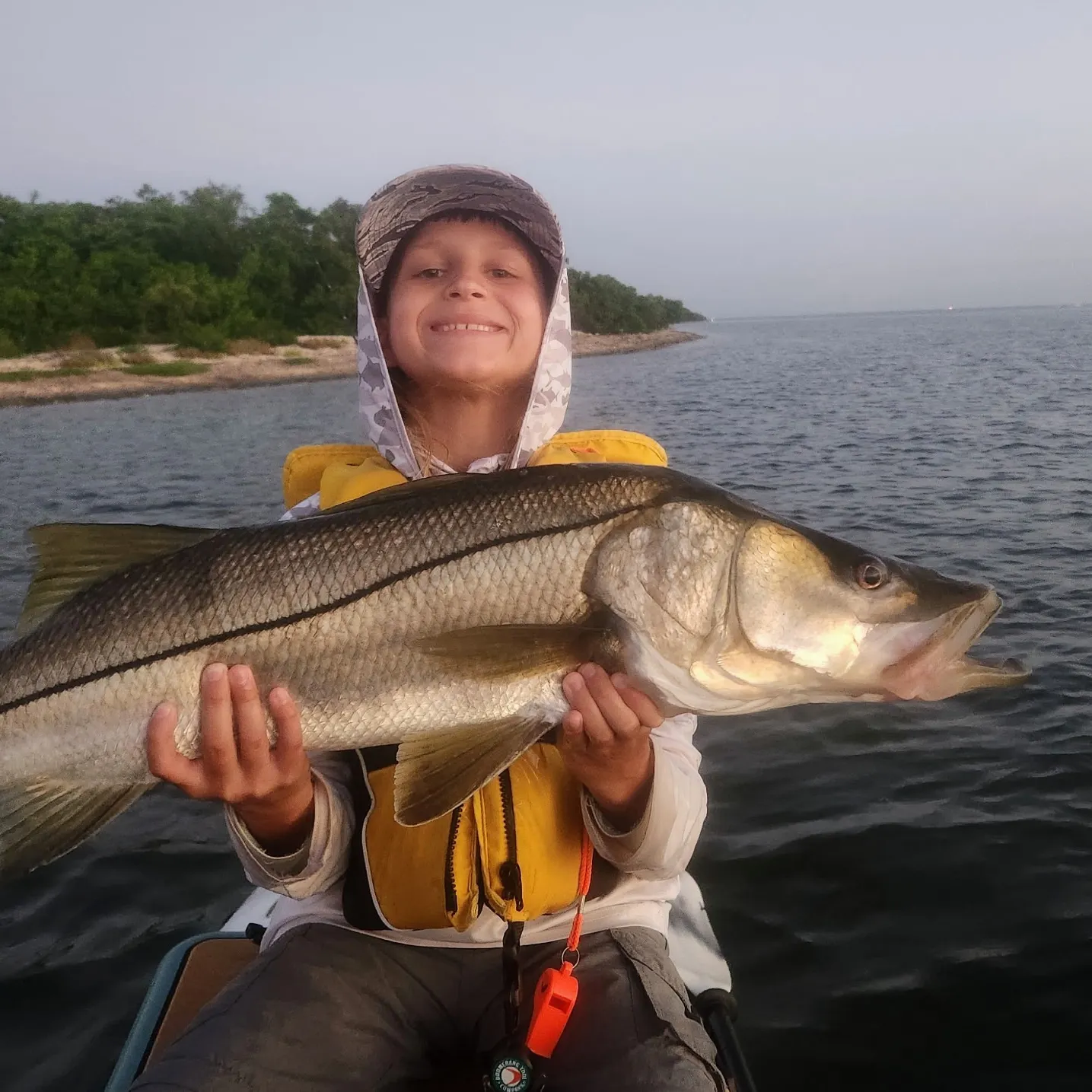 The most recent Common snook catches on Fishbrain