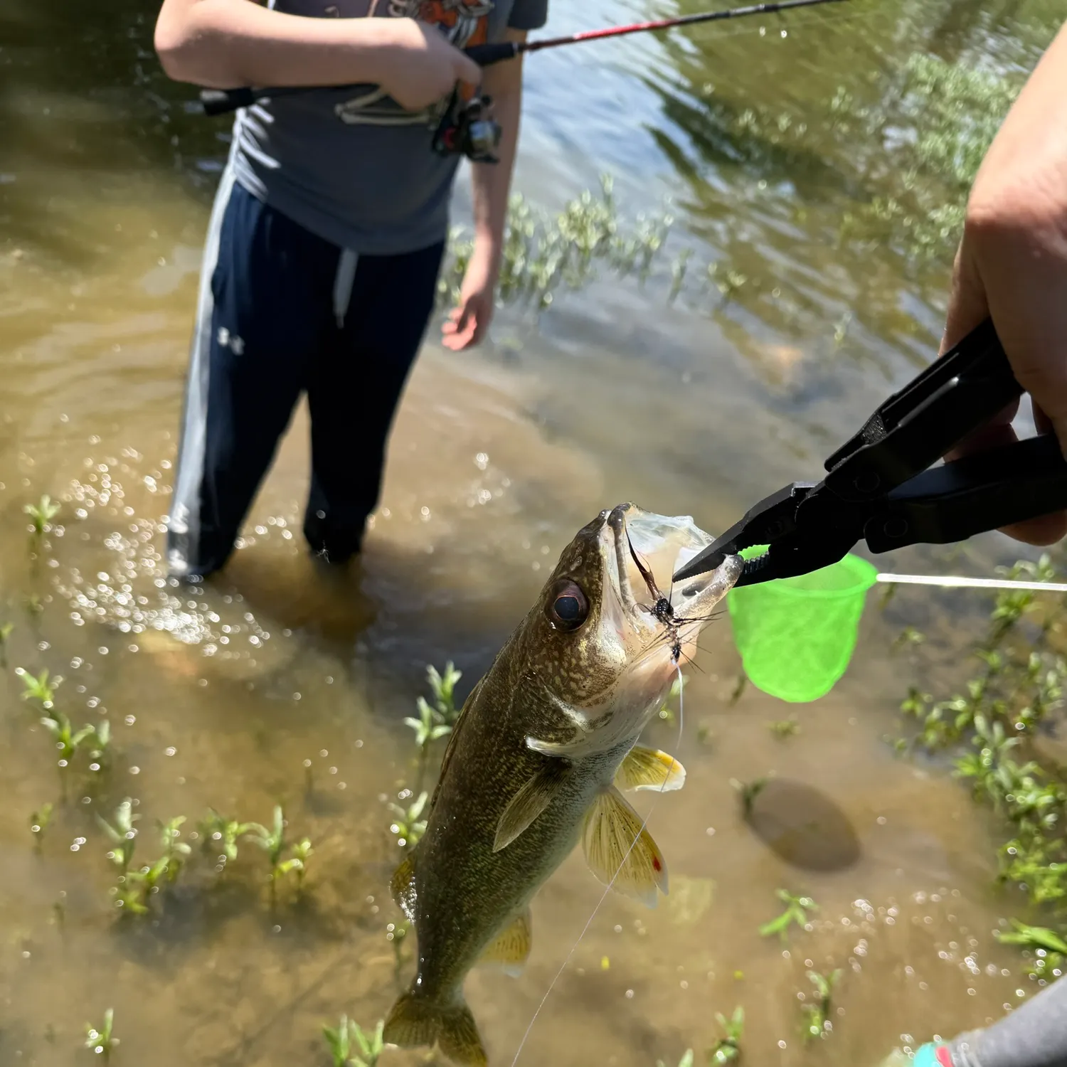 catch