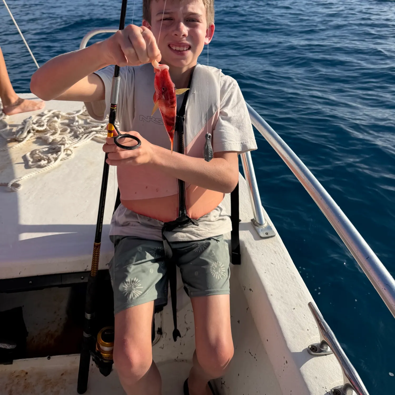 The most recent Red mullet catches on Fishbrain