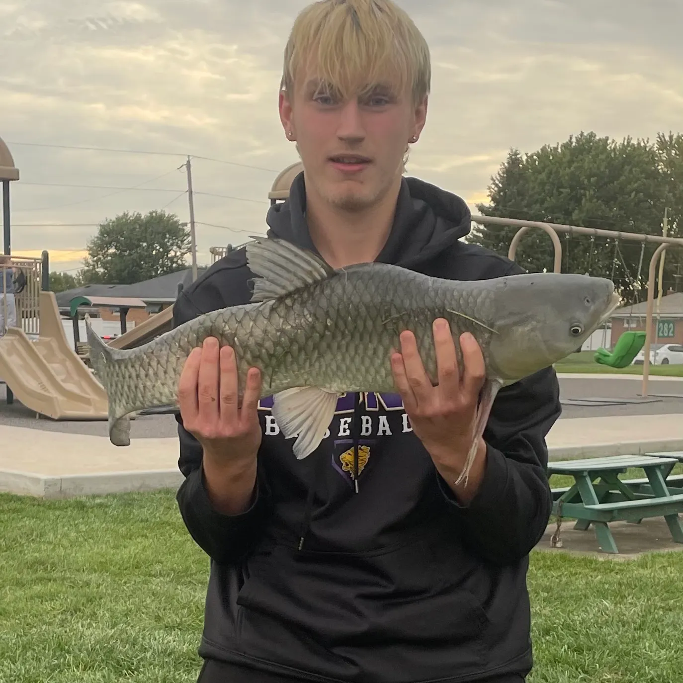 Grass carp caught on Fishbrain
