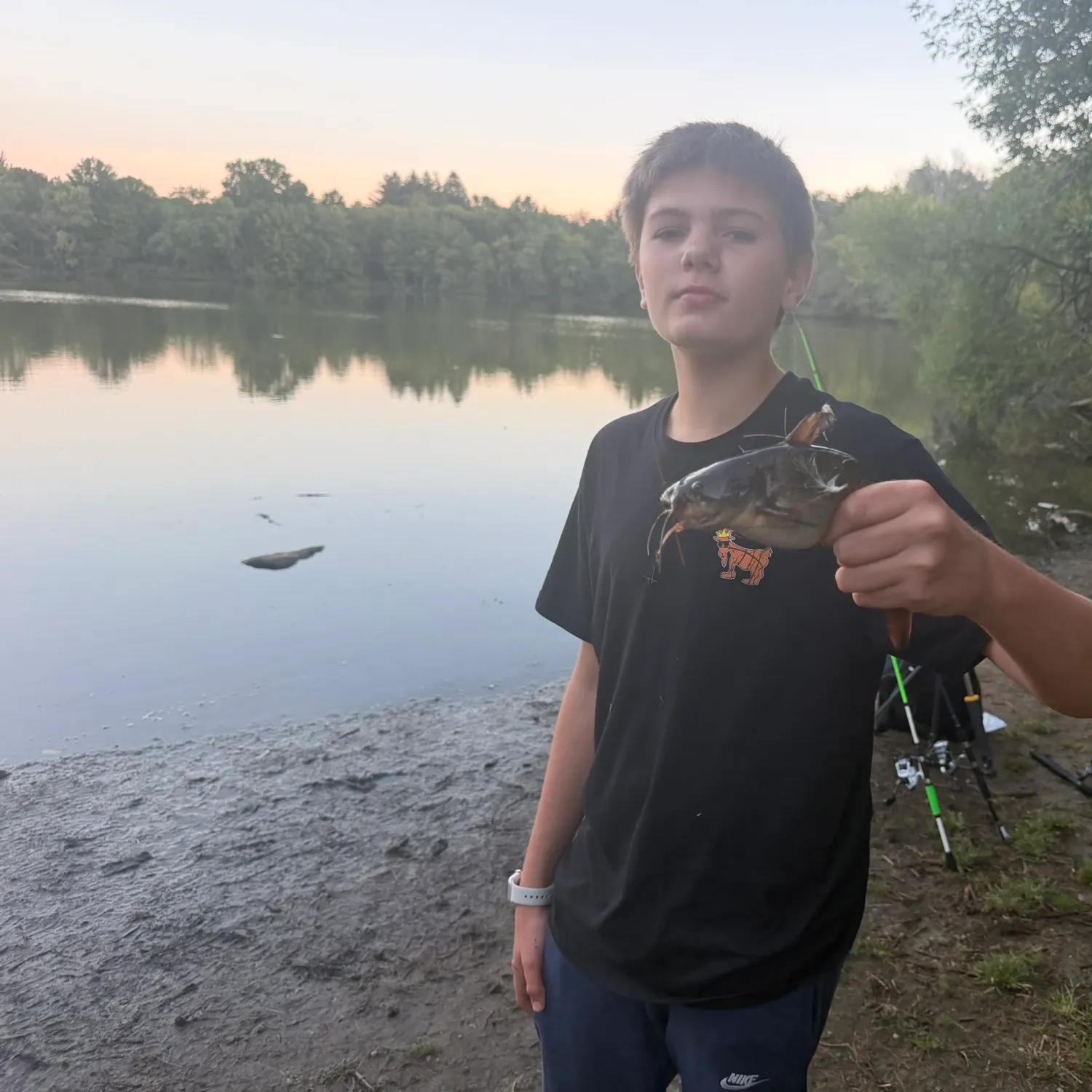Brown bullhead caught on Fishbrain