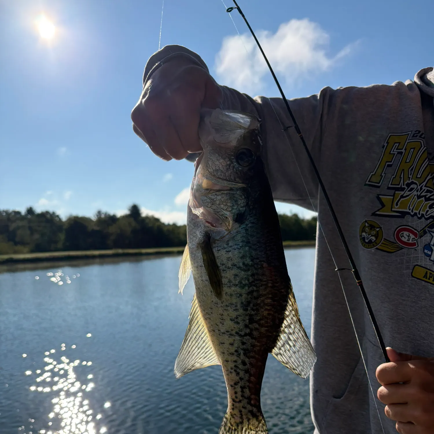 Black crappie caught on Fishbrain