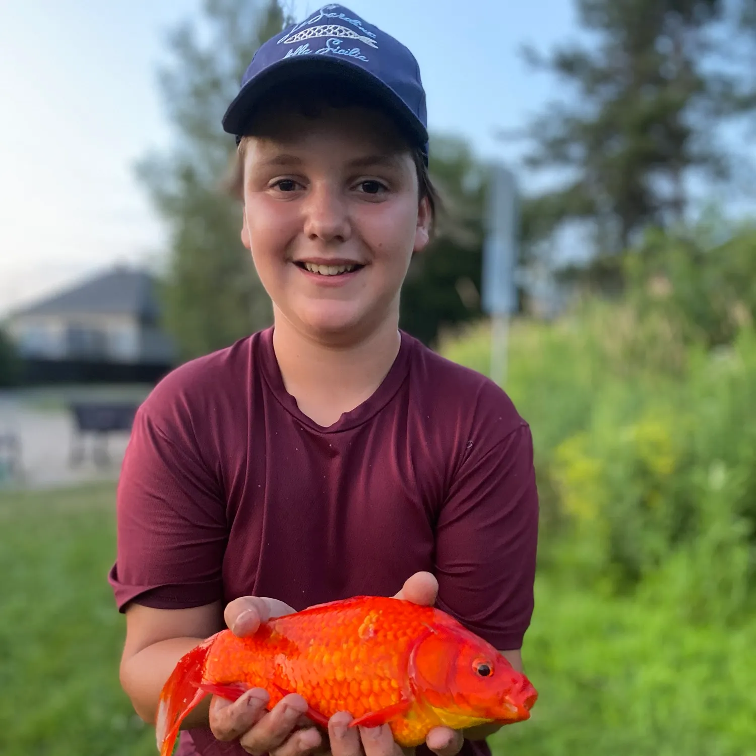 The most recent Koi x common carp catches on Fishbrain