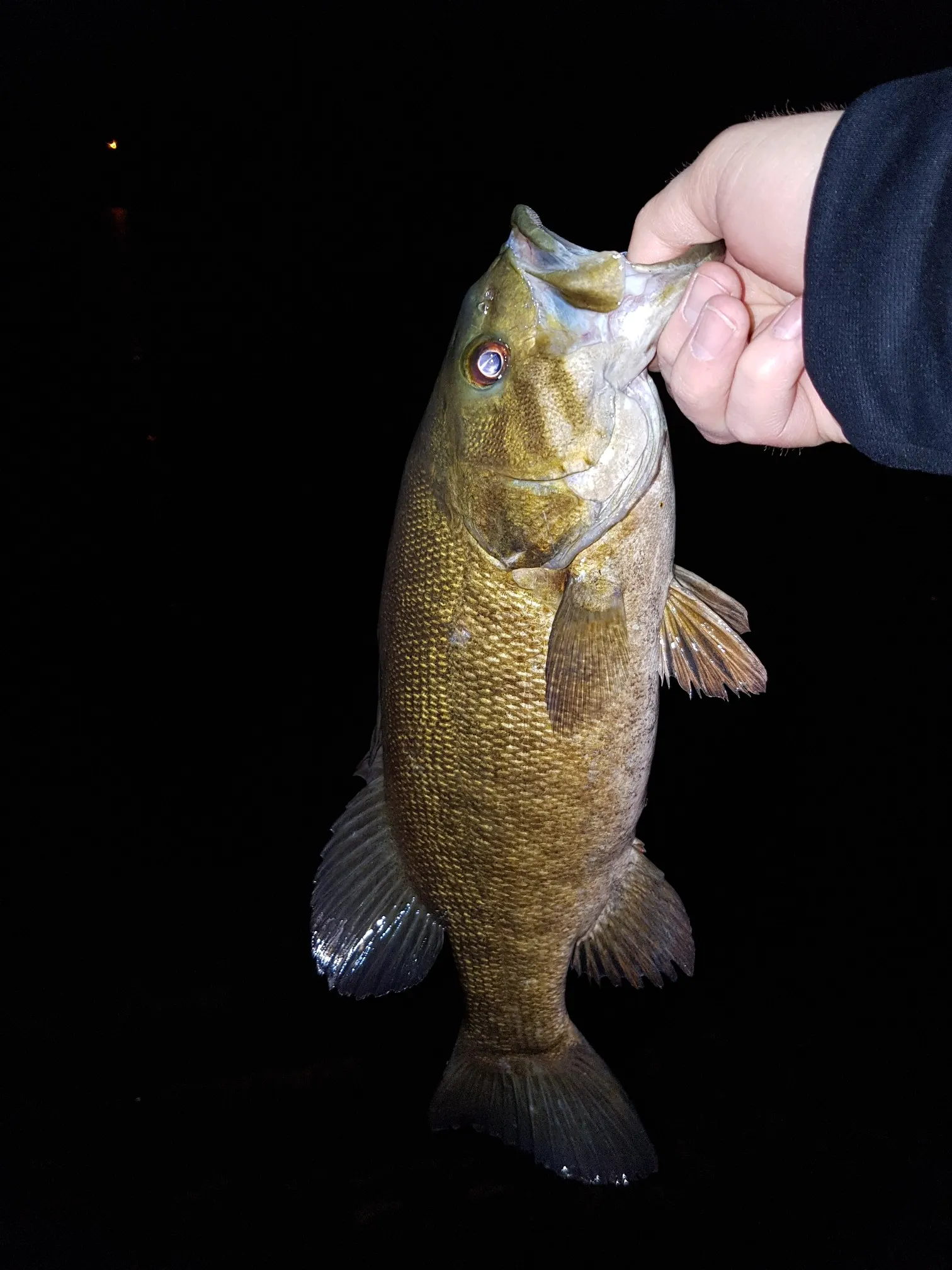 Post image from Mad-Mike