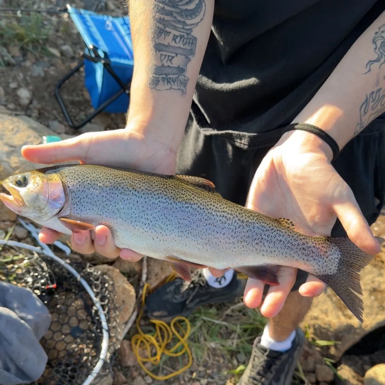 Rainbow trout caught on Fishbrain