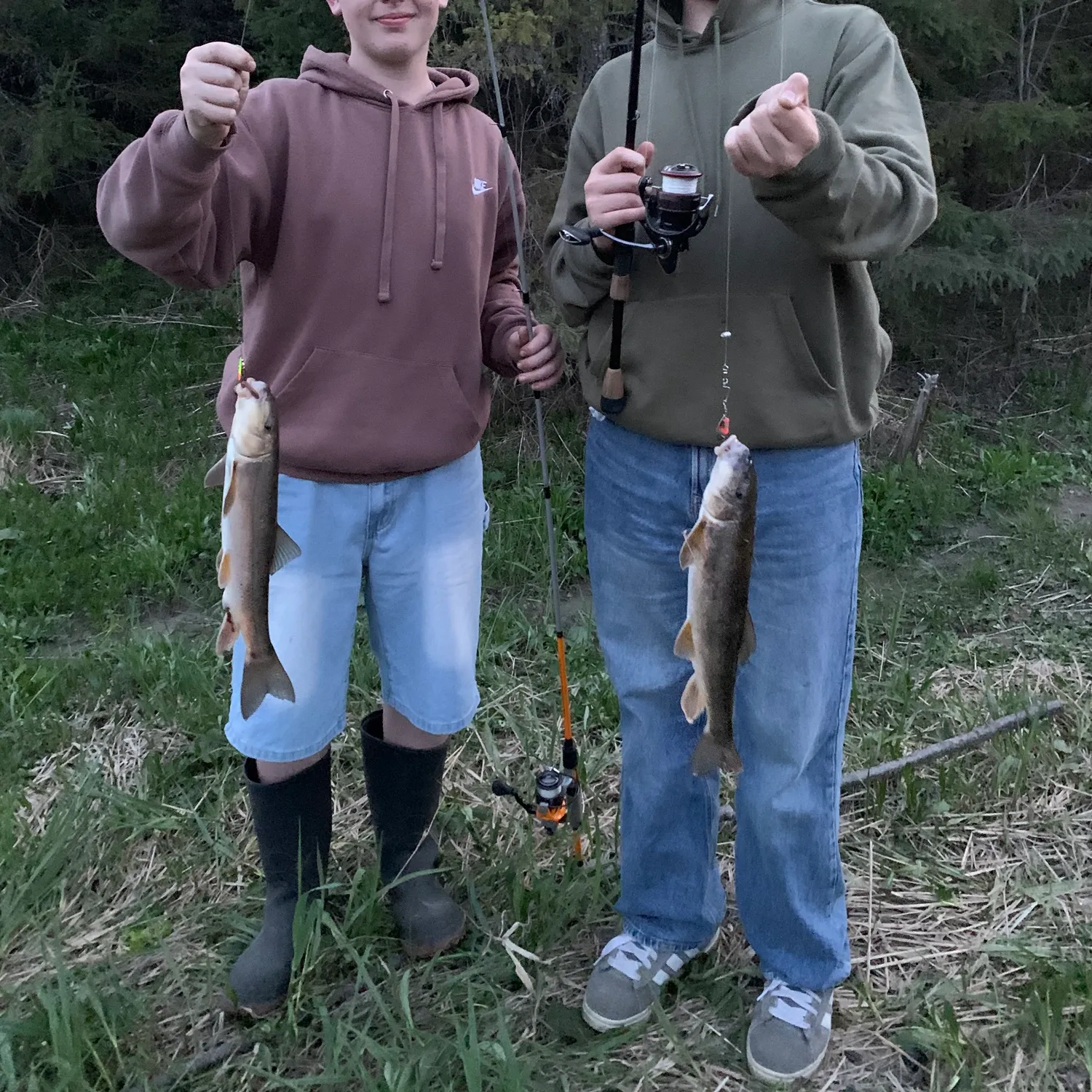 The most recent White sucker catches on Fishbrain