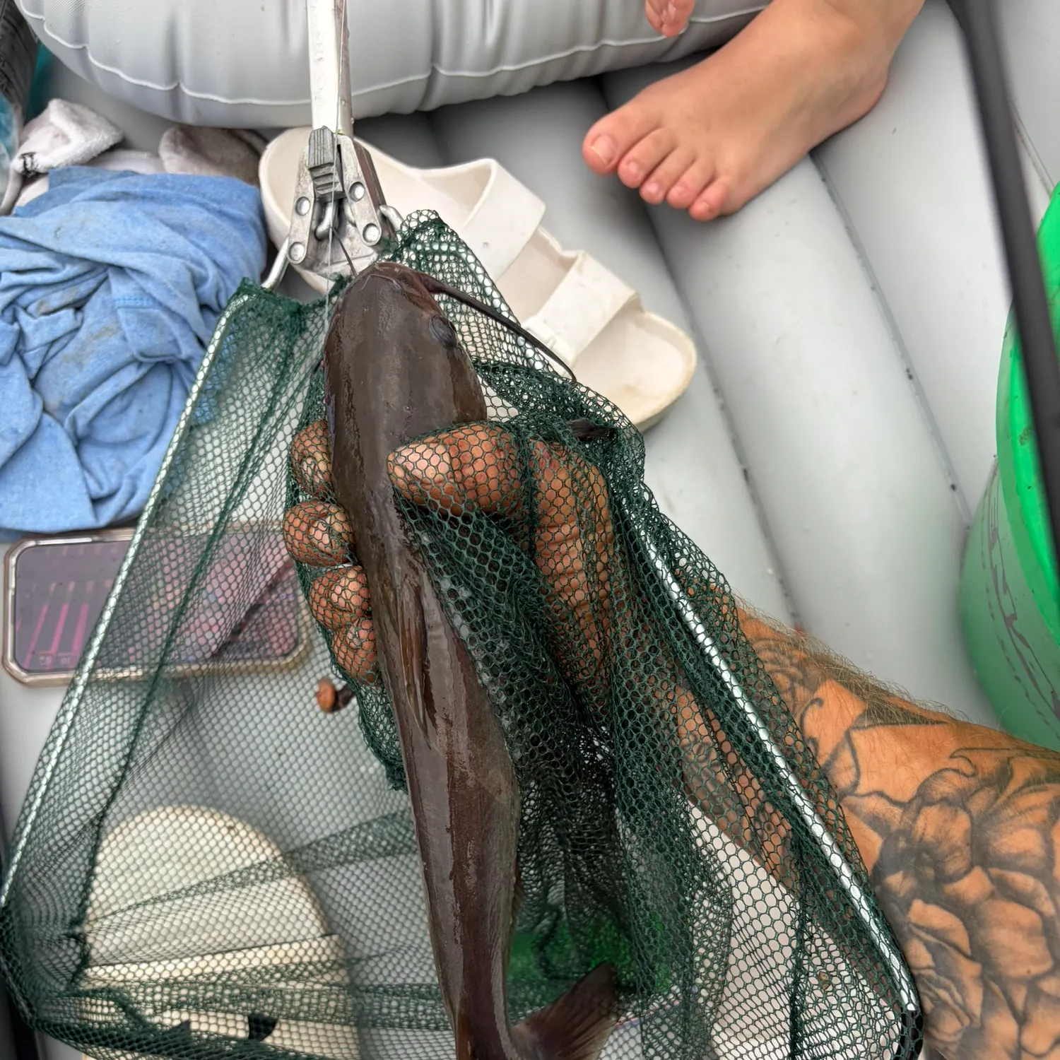 recently logged catches