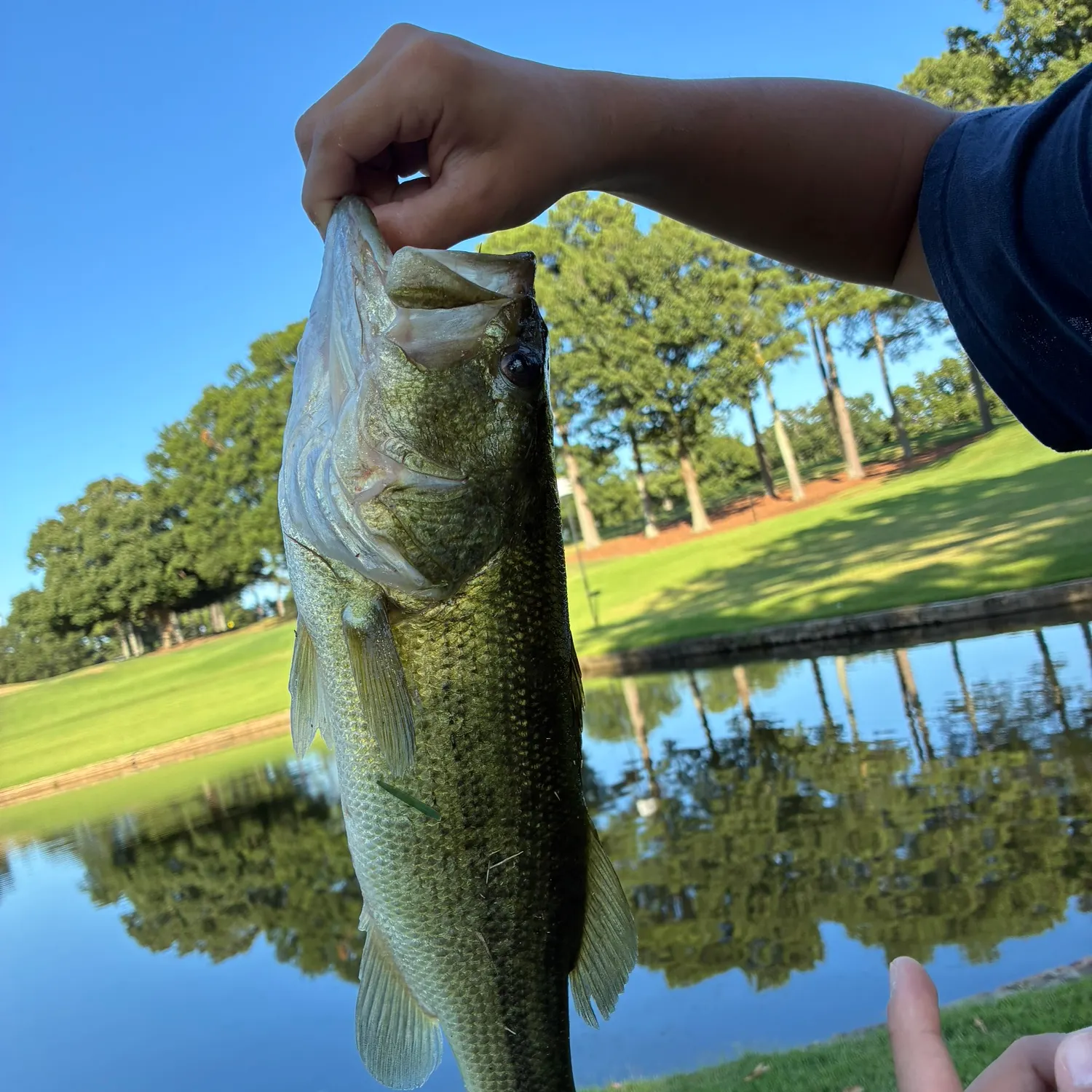 Fish caught on Fishbrain