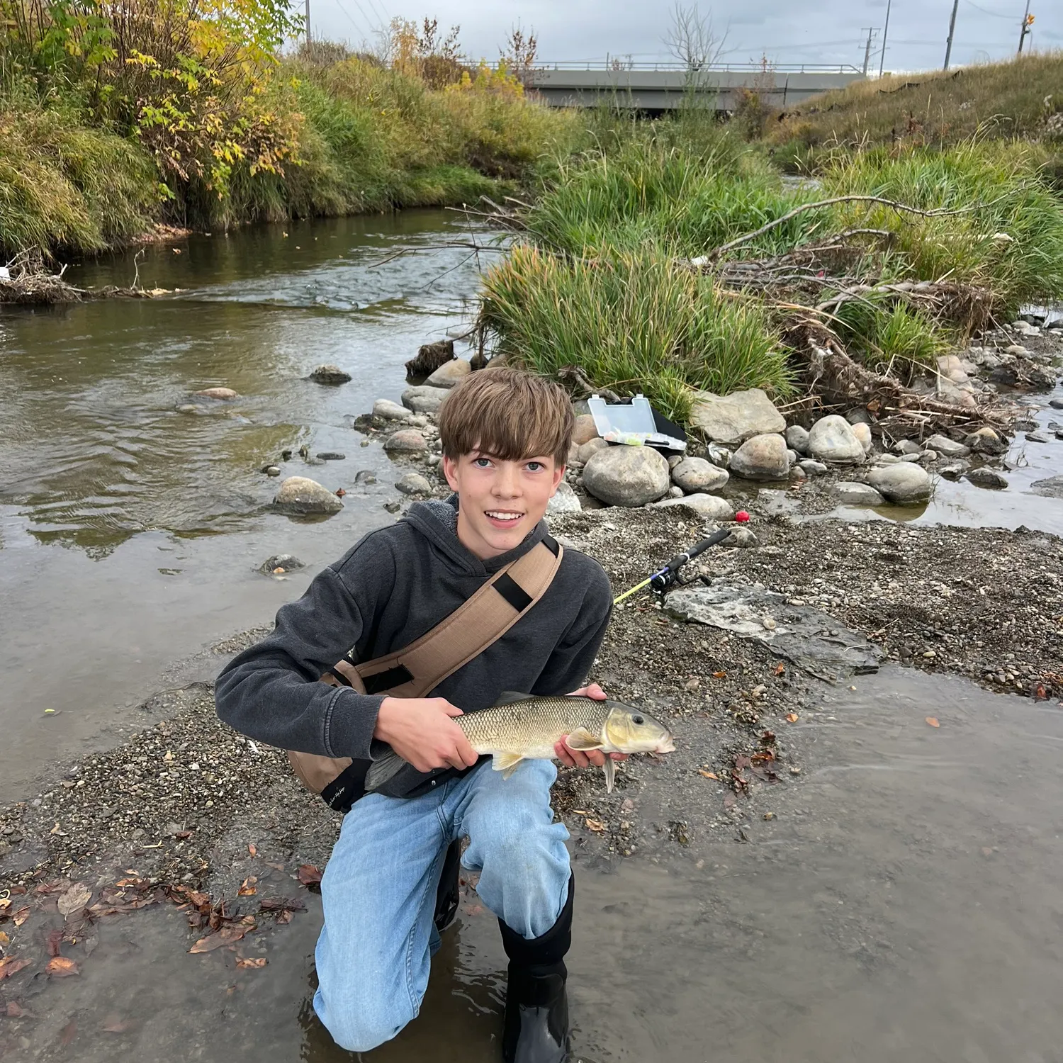 White sucker caught on Fishbrain