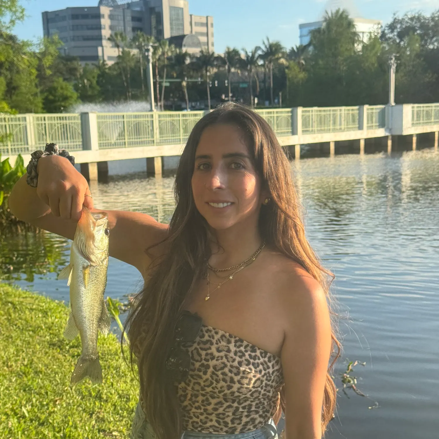 The most recent Largemouth bass catches on Fishbrain