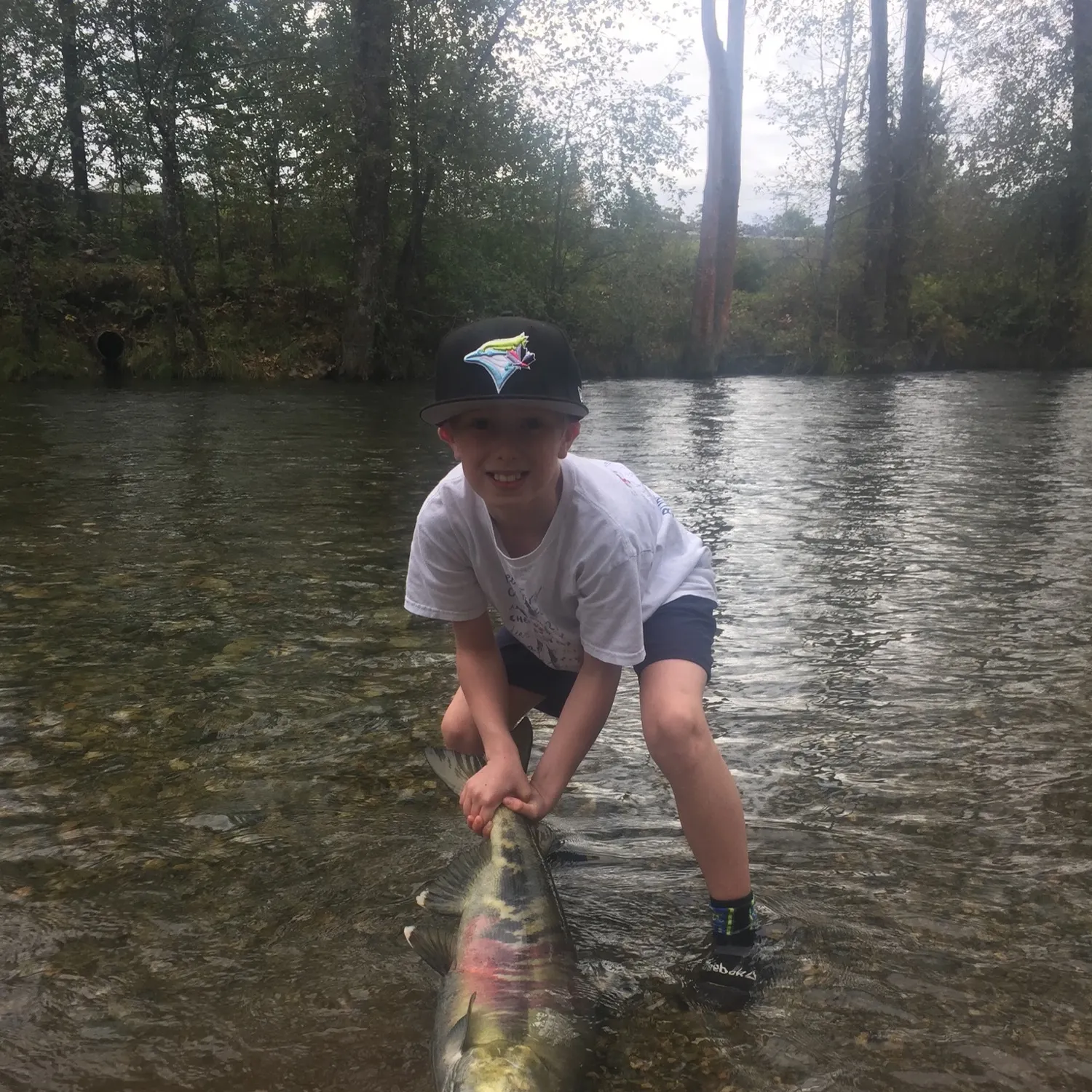 The most recent Chum salmon catches on Fishbrain