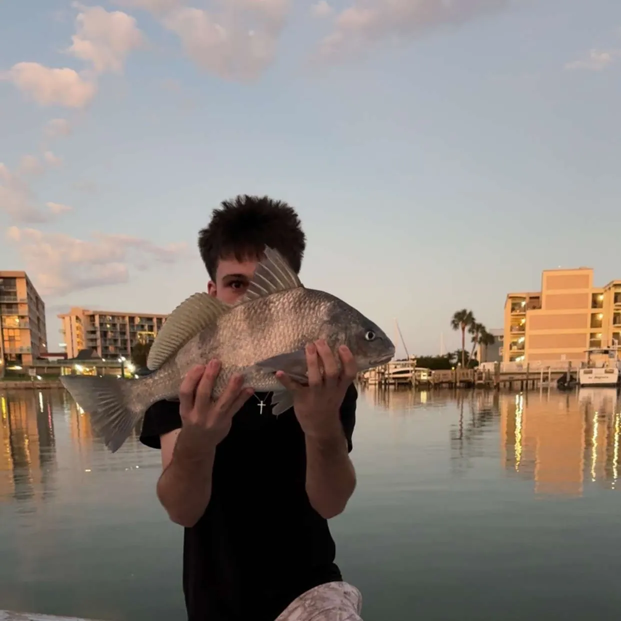 The most recent Black drum catches on Fishbrain