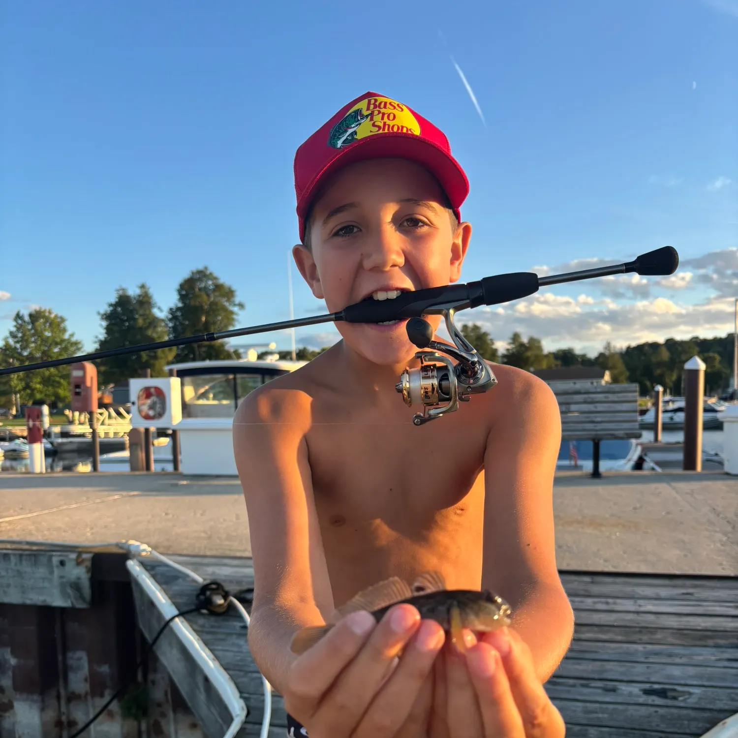 The most recent Round goby catches on Fishbrain