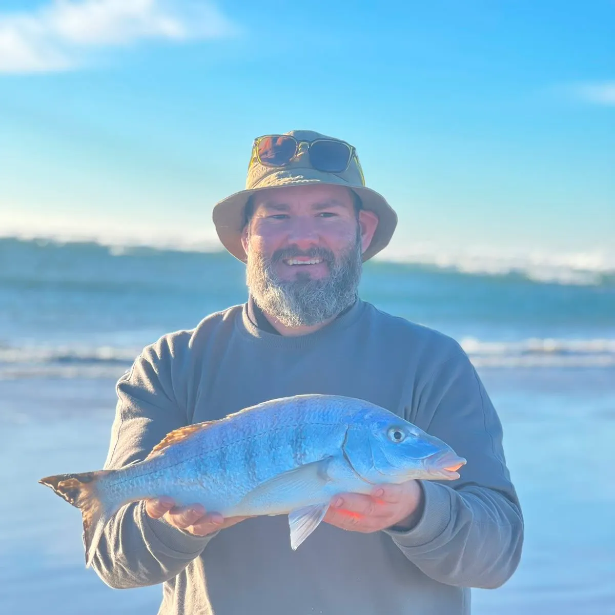 The most recent White steenbras catches on Fishbrain