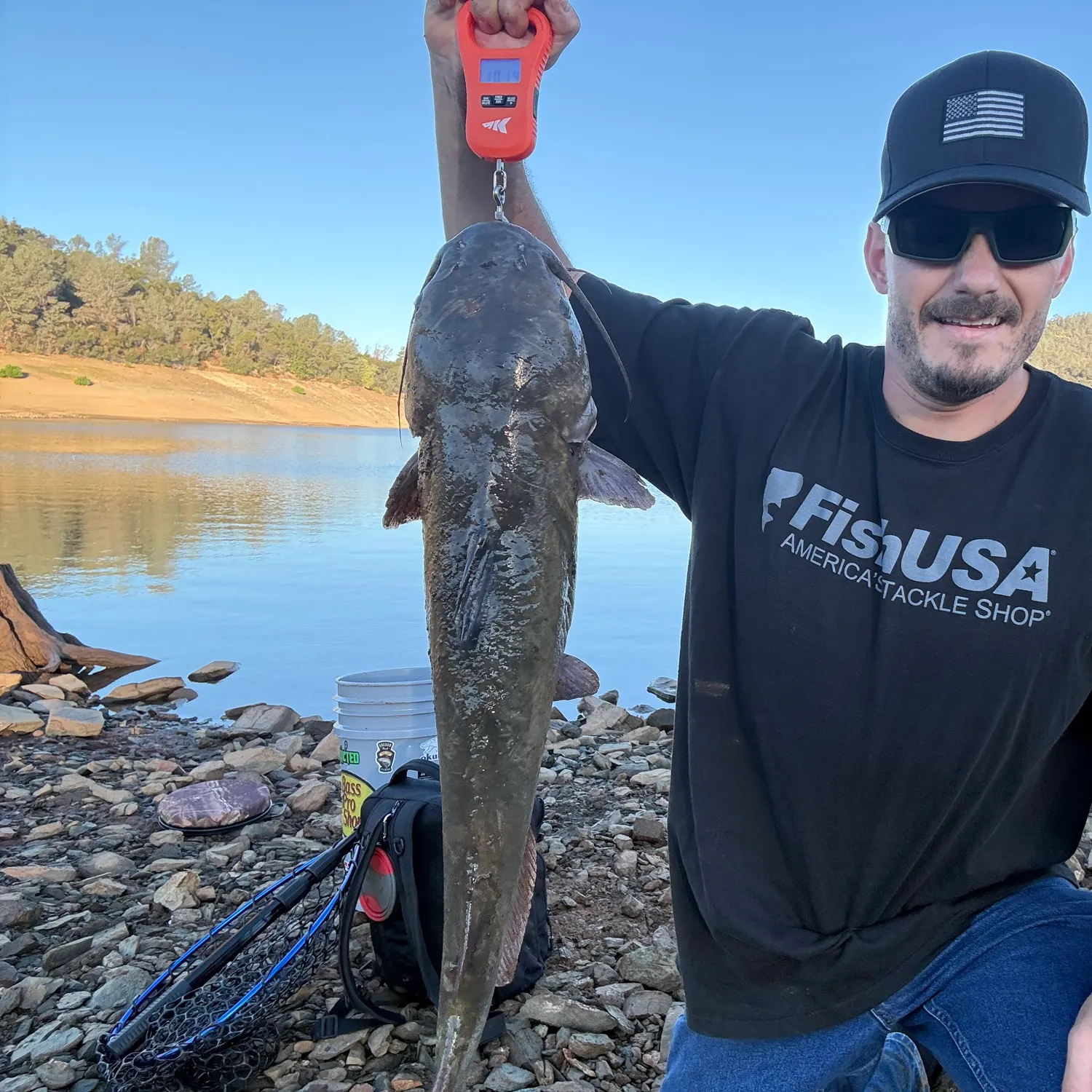 Flathead catfish caught on Fishbrain