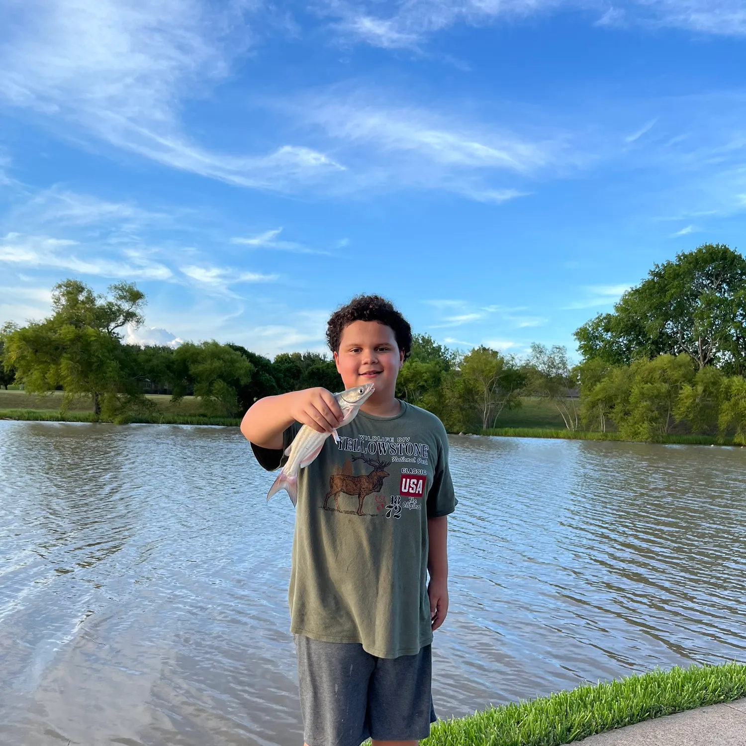 Channel catfish caught on Fishbrain