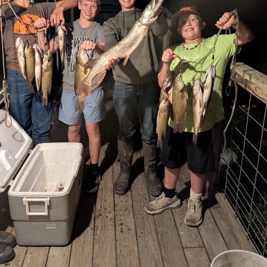 Smallmouth bass caught on Fishbrain