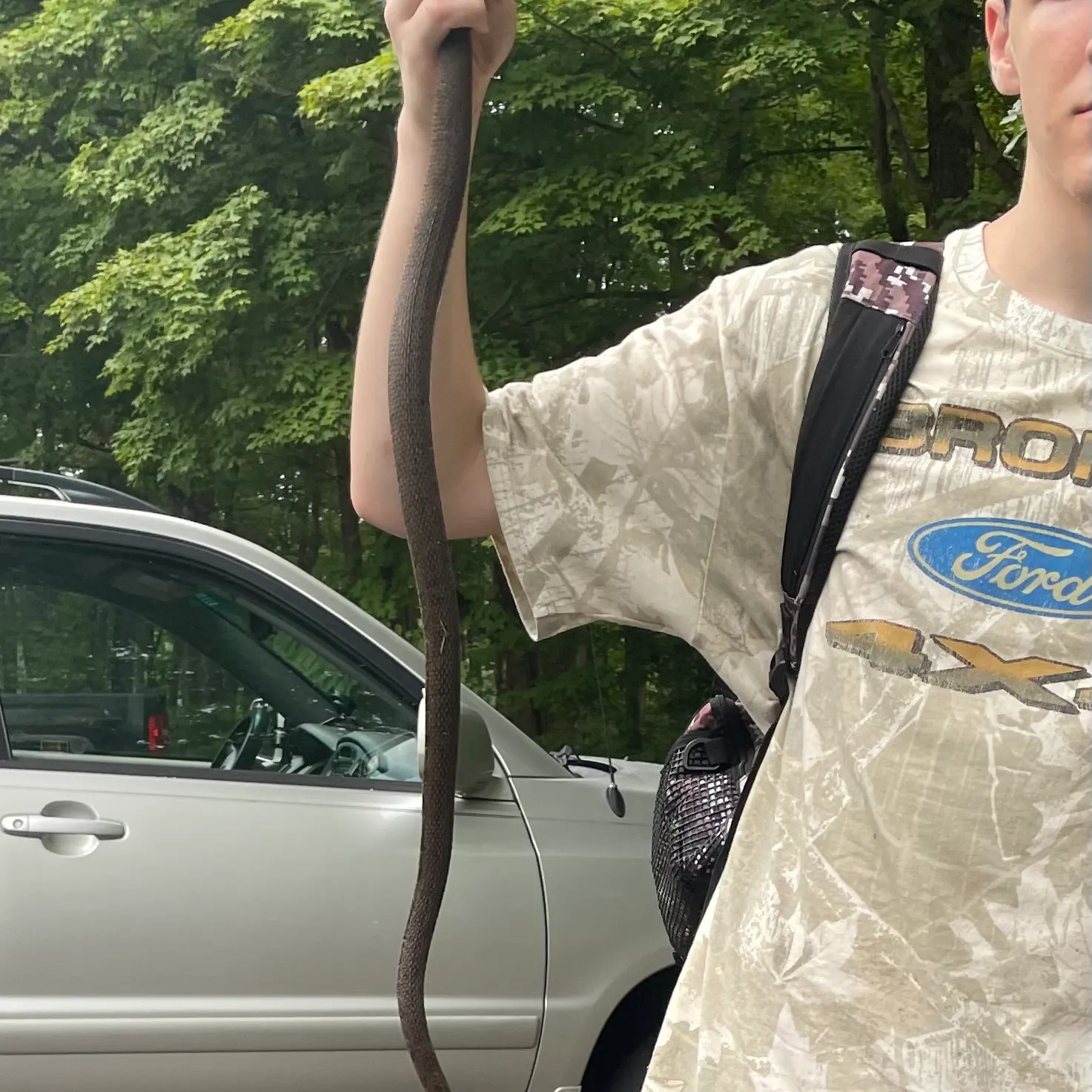 Fish caught on Fishbrain