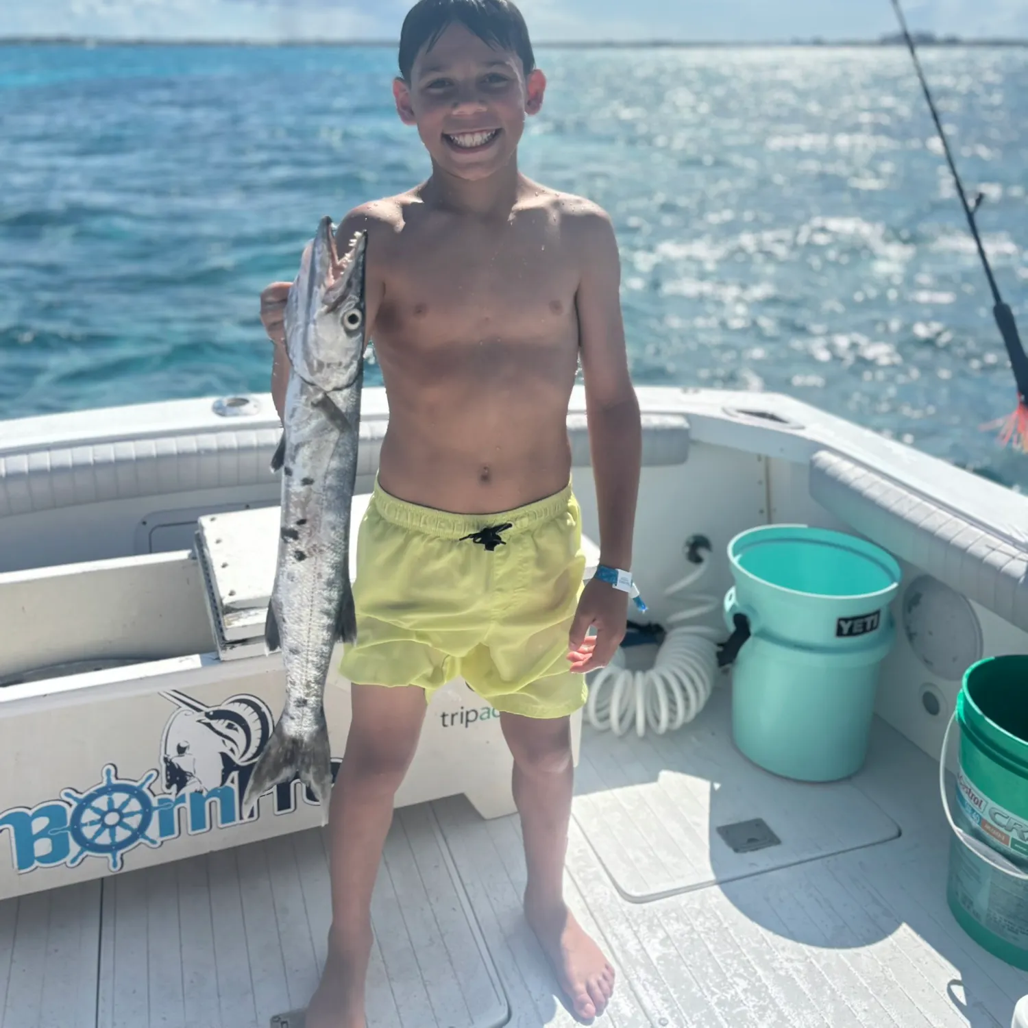 The most recent Great barracuda catches on Fishbrain