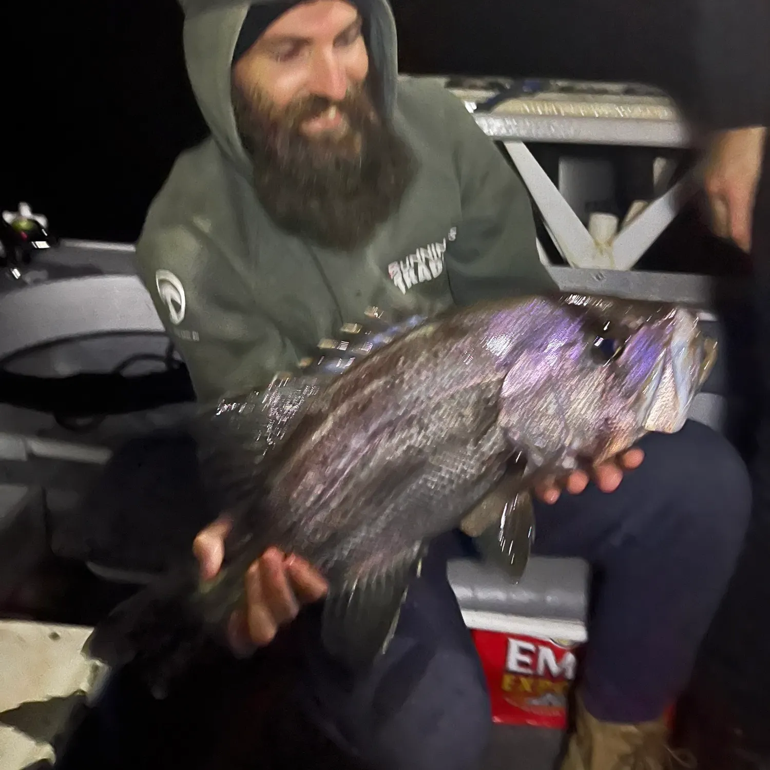 The most recent Westralian jewfish catches on Fishbrain