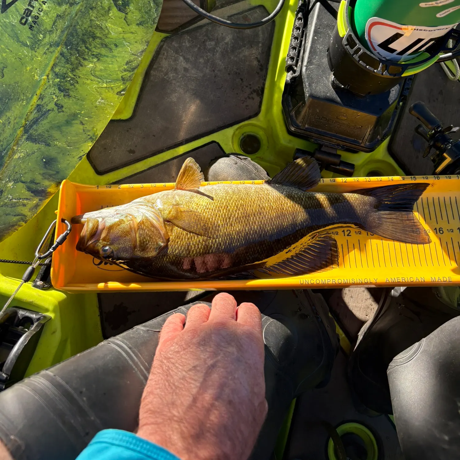 Smallmouth bass caught on Fishbrain