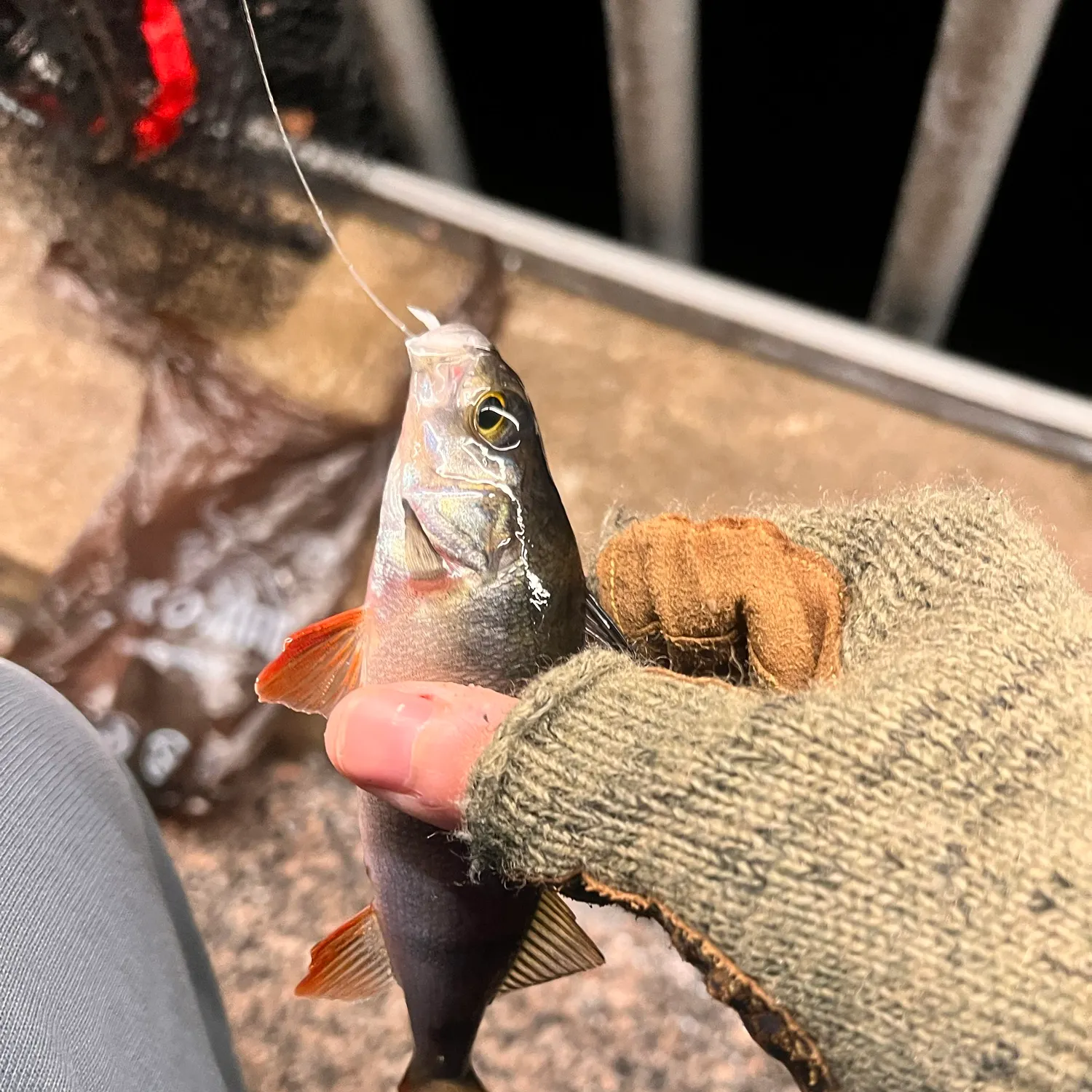 catch