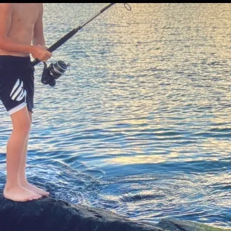 Summer flounder caught on Fishbrain
