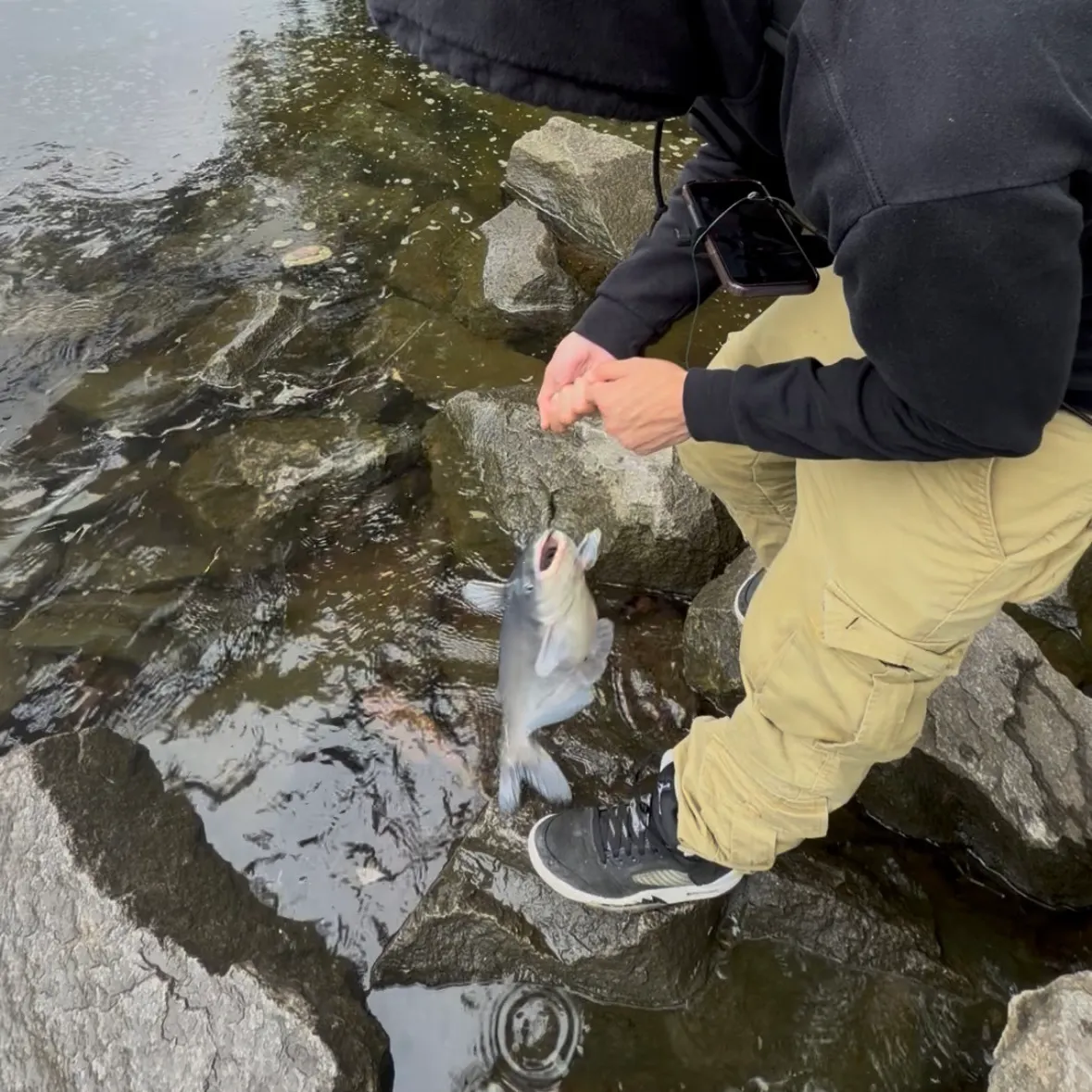 catch