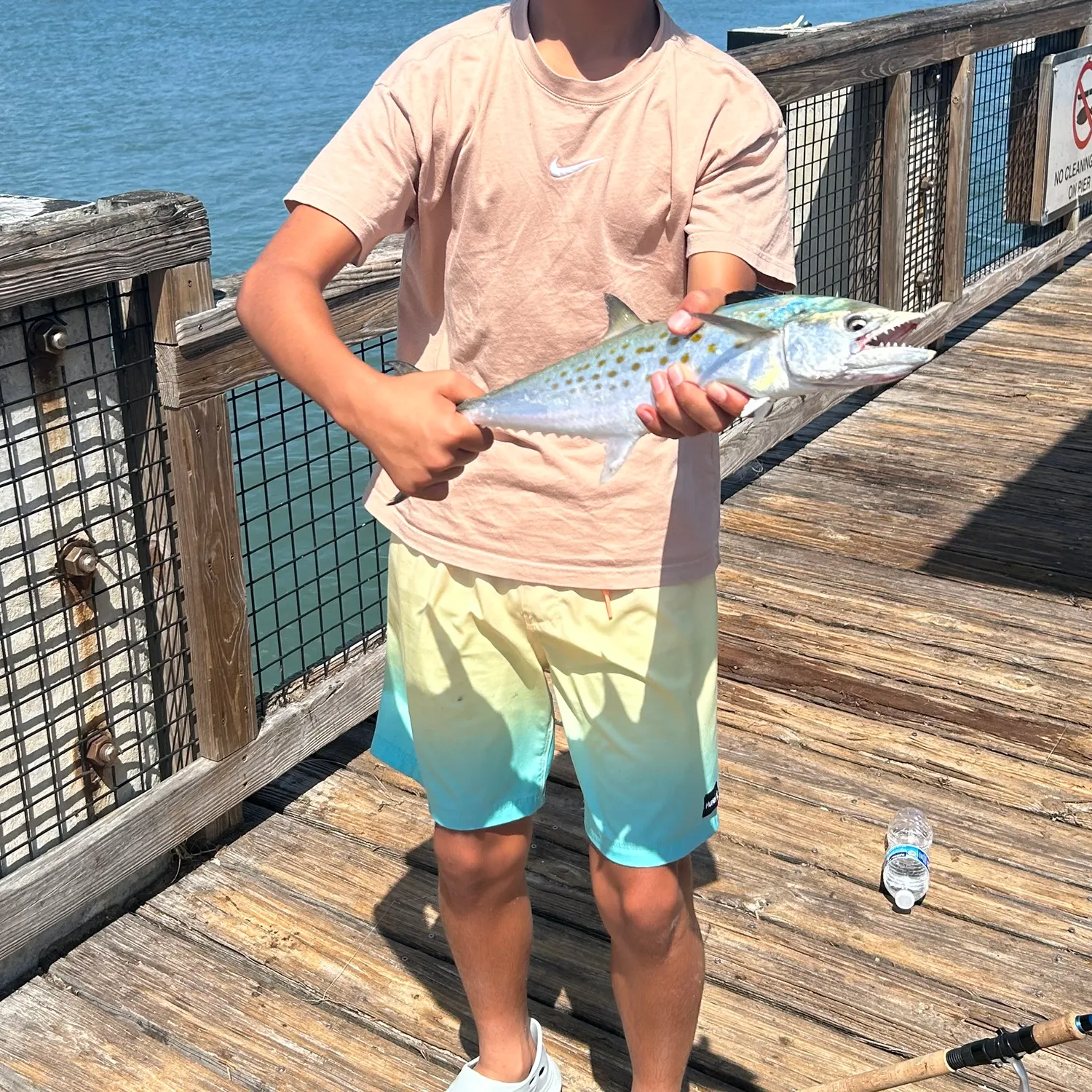 The most recent Spanish mackerel catches on Fishbrain