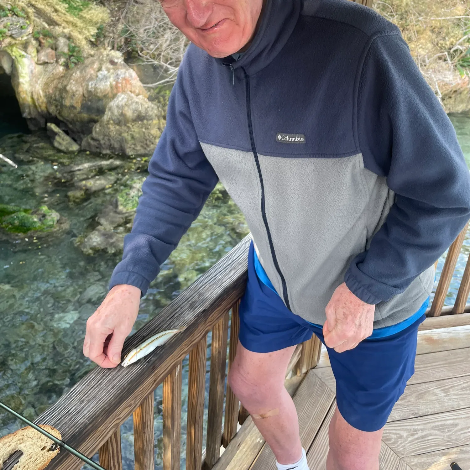 The most recent Slippery dick wrasse catches on Fishbrain