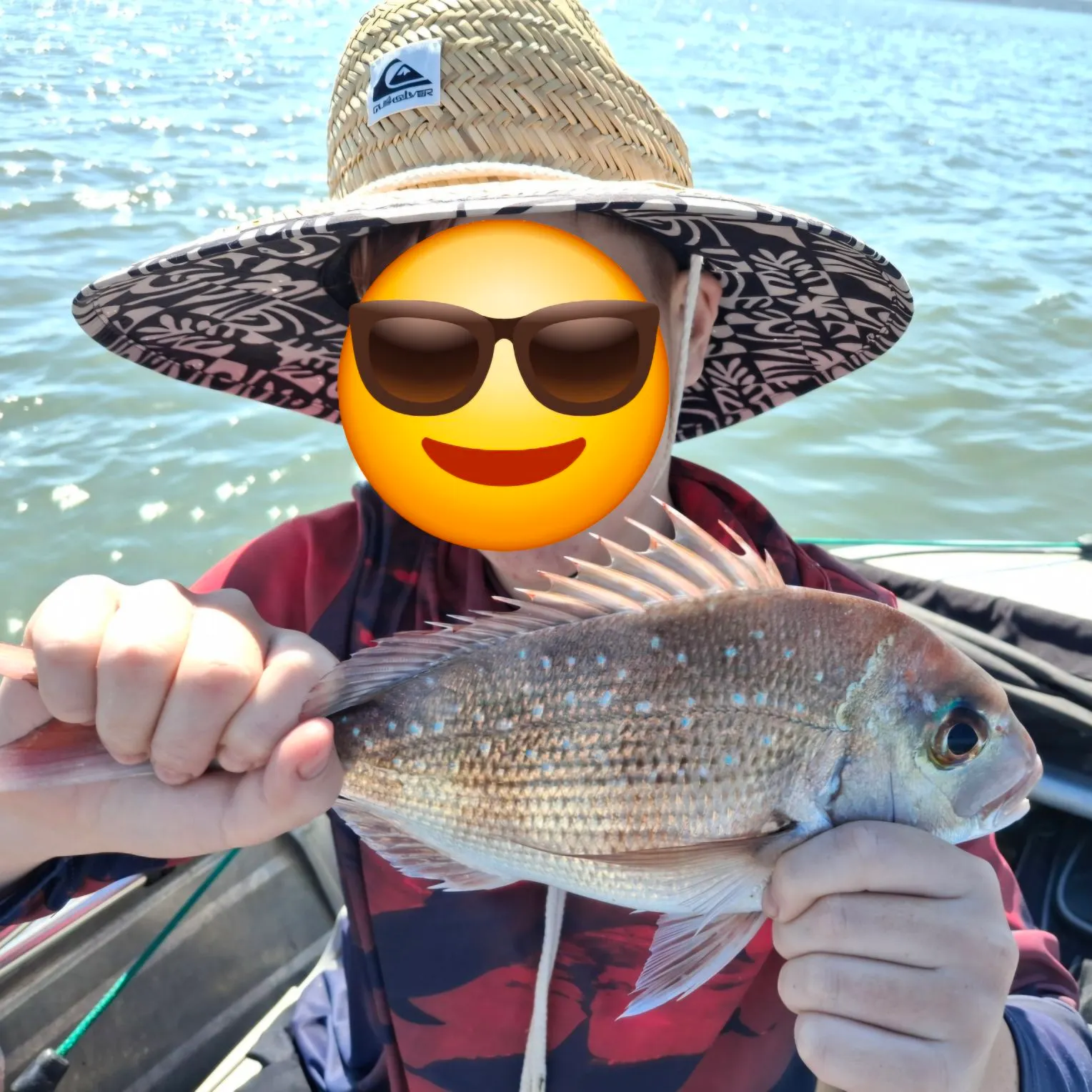 Australasian snapper caught on Fishbrain