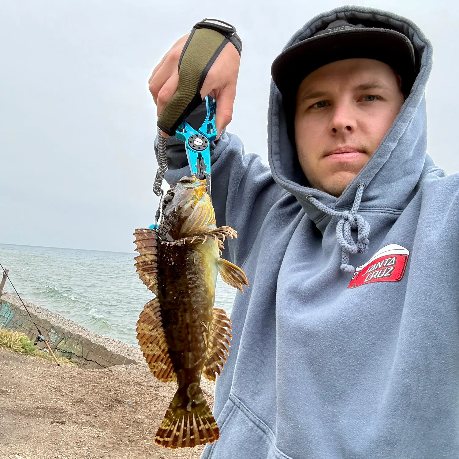 The most recent Cabezon catches on Fishbrain
