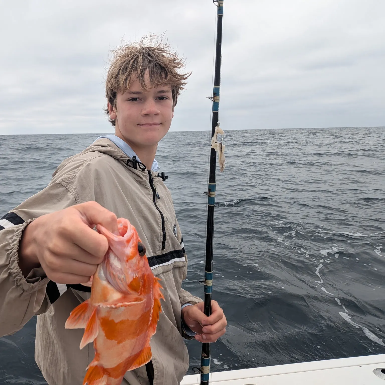 The most recent Flag rockfish catches on Fishbrain