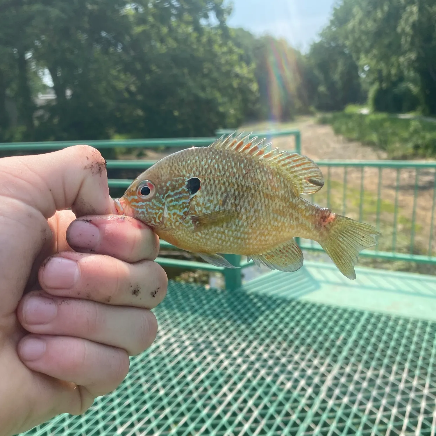 catch