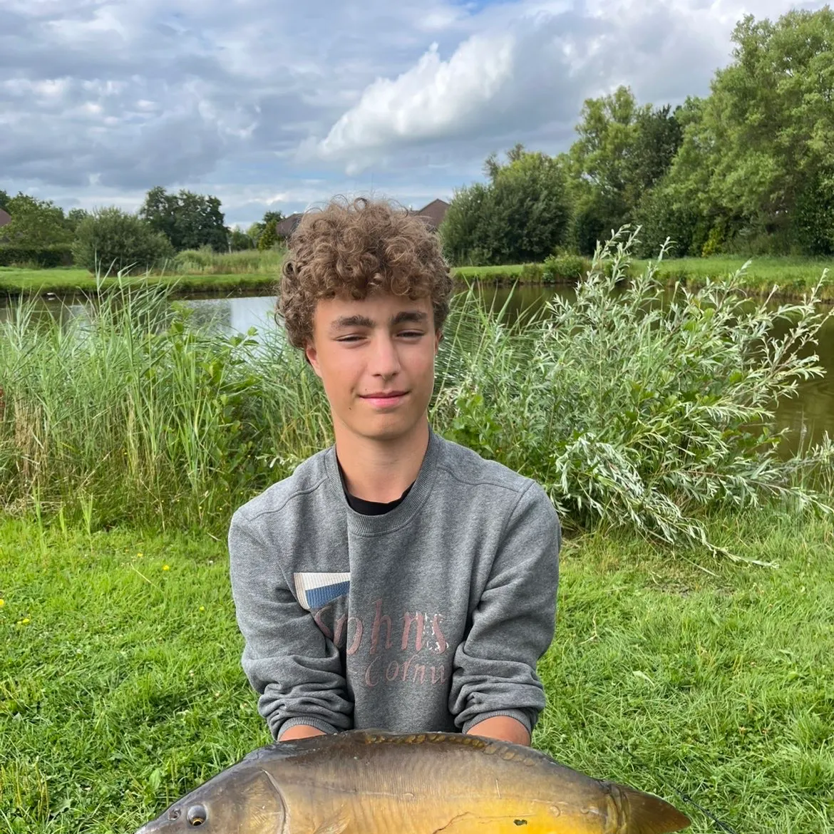 Leather carp caught on Fishbrain
