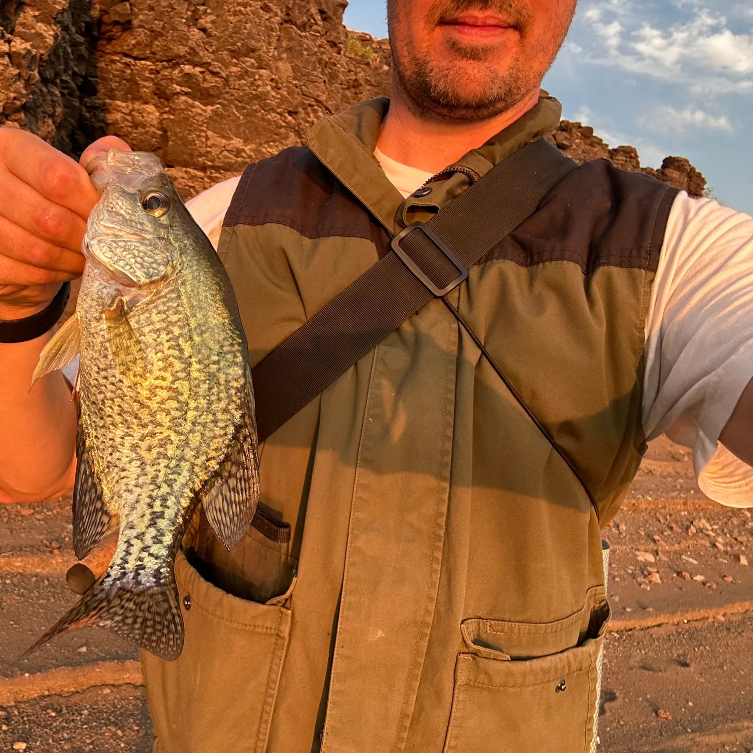 Black crappie caught on Fishbrain