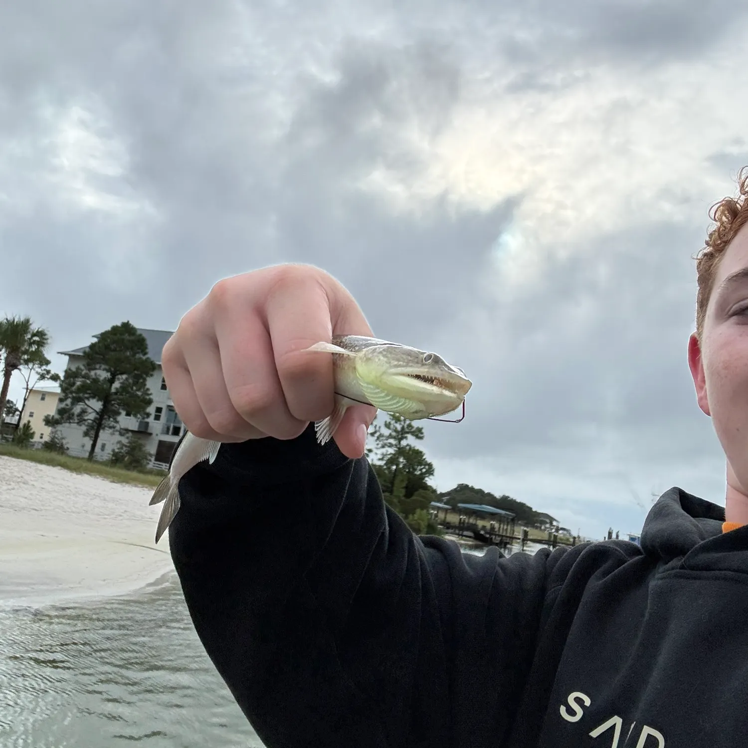 Inshore lizardfish caught on Fishbrain